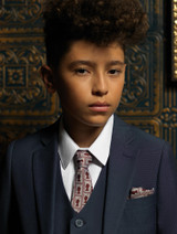 Boys royal stamp print tie