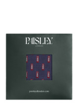 Boys royal telephone box hanky