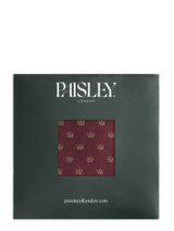 Boys royal burgundy crown hanky