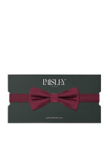 Boys burgundy self dot banded dickie bow