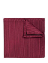 Boys burgundy pocket square