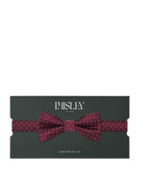 Boys burgundy trio dot bow tie