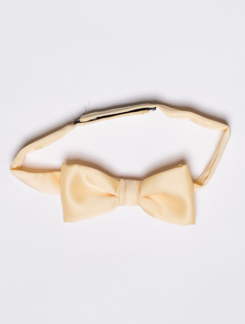 Banded gold dickie bow - Wiz