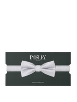 Boys silver trio dot banded dickie bow