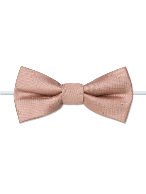 Boys rose gold self dot elasticated bow tie