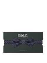 Boys navy trio dot banded dickie bow
