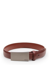 Boys brown leather belt