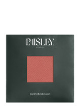 Boys terracotta pocket square