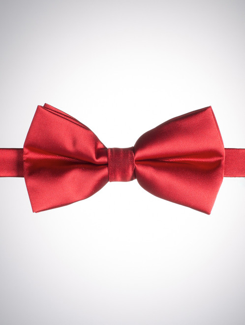 Boys red dickie bow